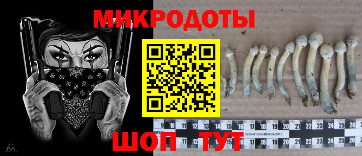 Конаково  Псилоцибиновые грибы Psilocybe  Вход с VPN  Псилоцибиновые грибы Cubensis 